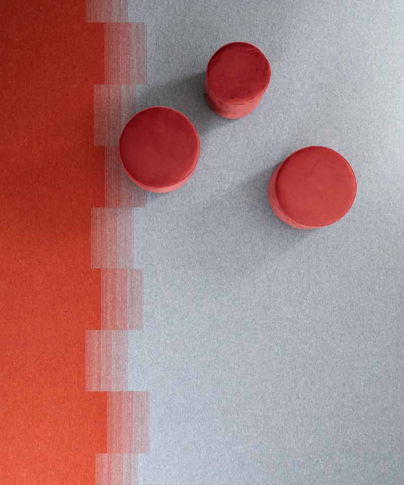 ib3 image